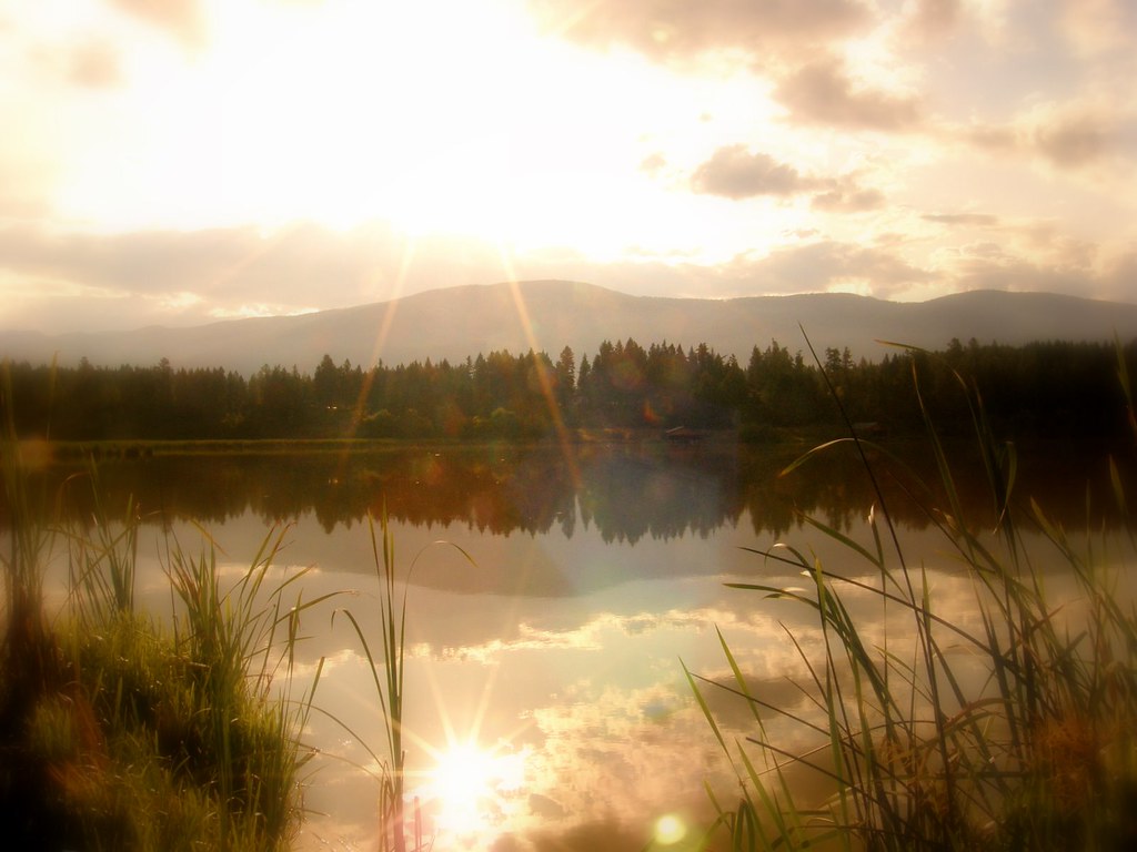 Otter Lake
