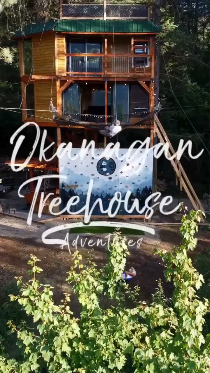 Treehouse walkthrough video preview
